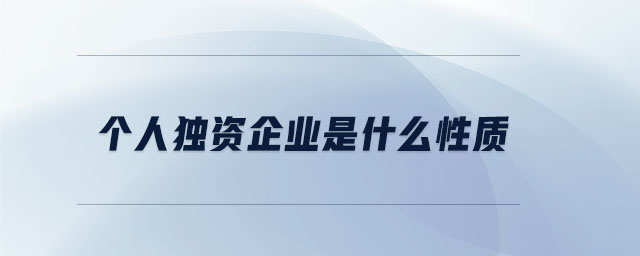 個人獨(dú)資企業(yè)是什么性質(zhì)