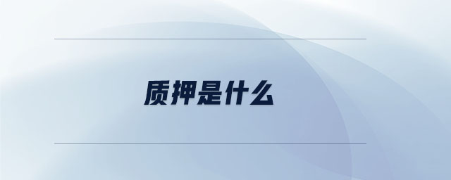 質(zhì)押是什么