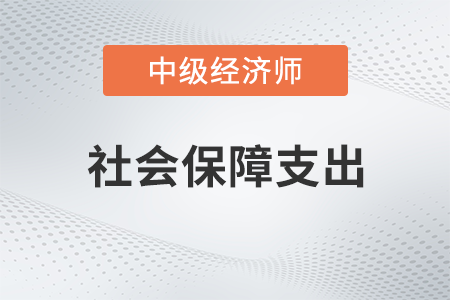 社會(huì)保障支出_2022中級(jí)經(jīng)濟(jì)師財(cái)稅備考知識(shí)點(diǎn)