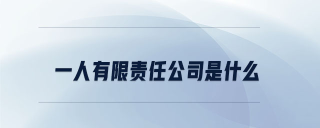 一人有限責(zé)任公司是什么