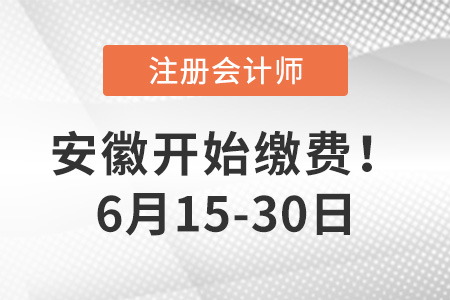 2023年安徽省黃山地區(qū)注會(huì)報(bào)名費(fèi)用是多少,？點(diǎn)擊完成交費(fèi),！