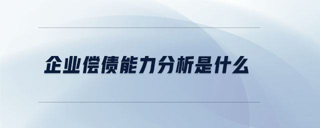 企業(yè)償債能力分析是什么