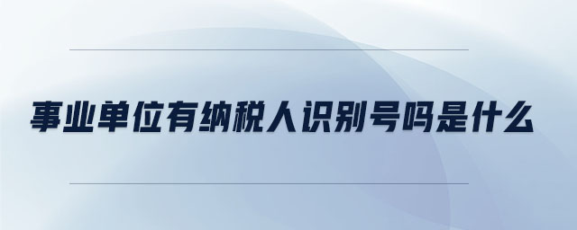 事業(yè)單位有納稅人識別號嗎是什么