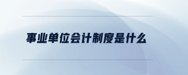 事業(yè)單位會(huì)計(jì)制度是什么