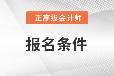 正高級(jí)會(huì)計(jì)師應(yīng)具備的條件是什么?