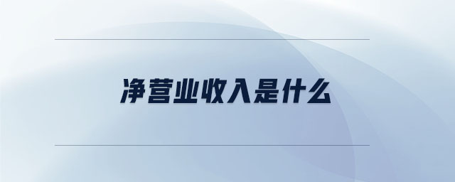 凈營(yíng)業(yè)收入是什么