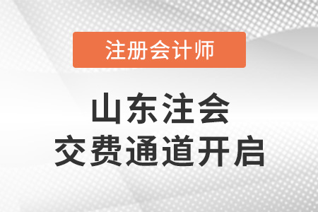 2022年山東省煙臺(tái)注冊(cè)會(huì)計(jì)師考試交費(fèi)通道開(kāi)啟,！