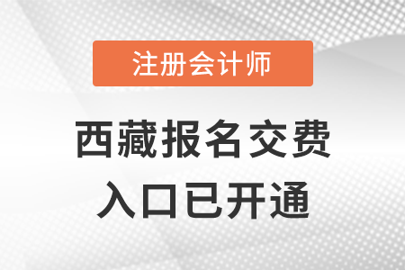 稅務(wù)師頻道頁規(guī)范終版2022年西藏注冊會(huì)計(jì)師考試開始報(bào)名交費(fèi),，抓緊時(shí)間,！