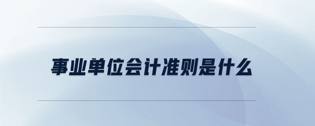 事業(yè)單位會(huì)計(jì)準(zhǔn)則是什么