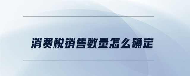 消費稅銷售數(shù)量怎么確定