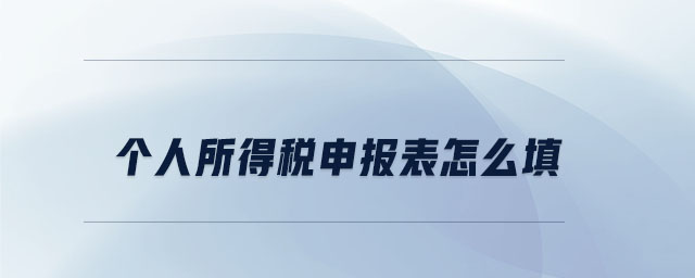 個(gè)人所得稅申報(bào)表怎么填