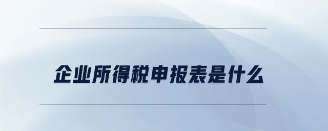 企業(yè)所得稅申報(bào)表是什么