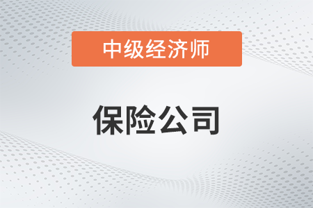 保險(xiǎn)公司_2022中級(jí)經(jīng)濟(jì)師金融備考知識(shí)點(diǎn)