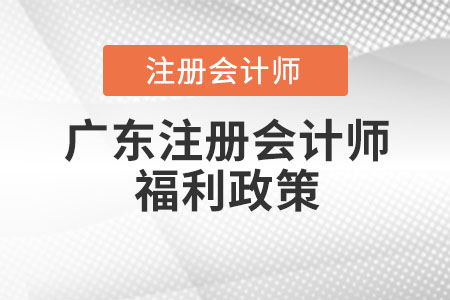 廣東注冊會計師福利政策