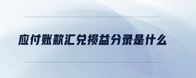 應(yīng)付賬款匯兌損益分錄是什么