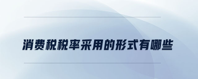 消費稅稅率采用的形式有哪些