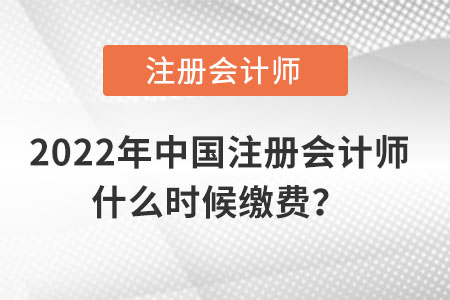 2022年中國(guó)注冊(cè)會(huì)計(jì)師