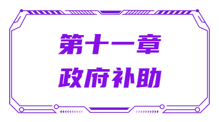 第十一章政府補(bǔ)助