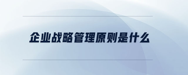 企業(yè)戰(zhàn)略管理原則是什么