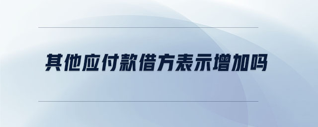 其他應(yīng)付款借方表示增加嗎