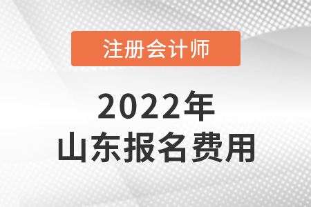 2022年山東省注冊會計師報名費用是多少,？