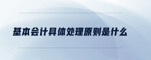 基本會計具體處理原則是什么