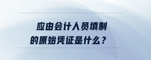 應(yīng)由會(huì)計(jì)人員填制的原始憑證是什么,？