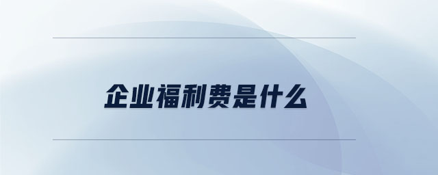 企業(yè)福利費(fèi)是什么