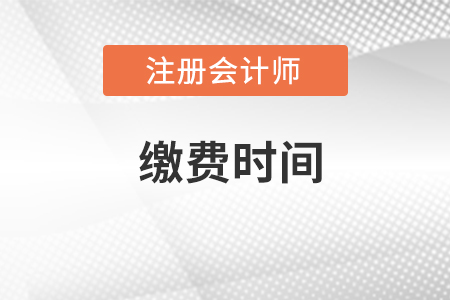 注冊(cè)會(huì)計(jì)師考試?yán)U費(fèi)時(shí)間在2022幾月,？