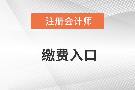 2022年注冊(cè)會(huì)計(jì)師繳費(fèi)入口在哪里,？