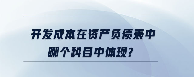 開發(fā)成本在資產(chǎn)負(fù)債表中哪個(gè)科目中體現(xiàn)？