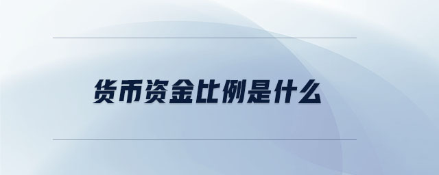 貨幣資金比例是什么