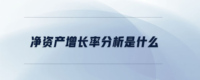 凈資產(chǎn)增長(zhǎng)率分析是什么