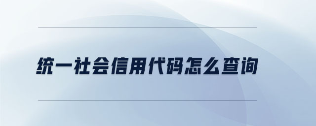 統(tǒng)一社會(huì)信用代碼怎么查詢