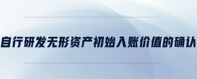 自行研發(fā)無(wú)形資產(chǎn)初始入賬價(jià)值的確認(rèn)
