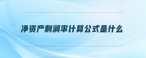 凈資產(chǎn)利潤率計算公式是什么