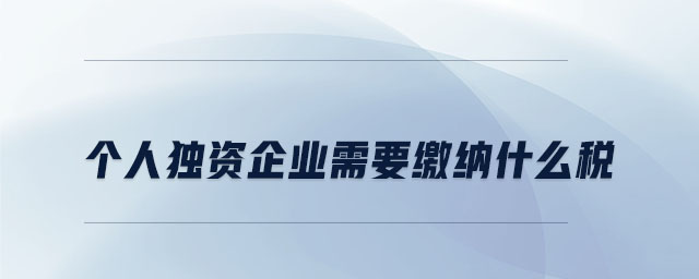 個(gè)人獨(dú)資企業(yè)需要繳納什么稅