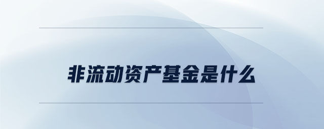 非流動(dòng)資產(chǎn)基金是什么