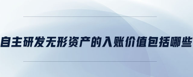 自主研發(fā)無(wú)形資產(chǎn)的入賬價(jià)值包括哪些