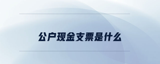 公戶現(xiàn)金支票是什么