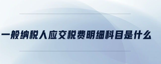 一般納稅人應(yīng)交稅費(fèi)明細(xì)科目是什么