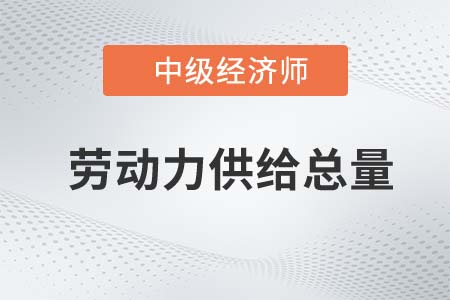 勞動力供給總量_2022中級經(jīng)濟師人力資源知識點