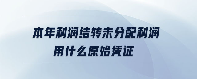 本年利潤結(jié)轉(zhuǎn)未分配利潤用什么原始憑證