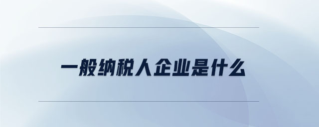 一般納稅人企業(yè)是什么