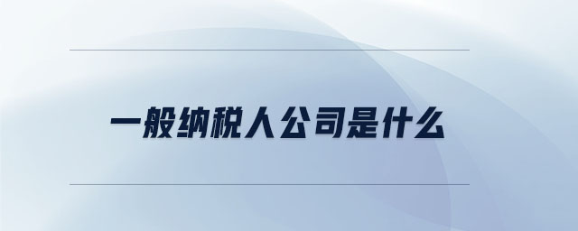 一般納稅人公司是什么