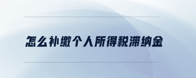 怎么補(bǔ)繳個(gè)人所得稅滯納金