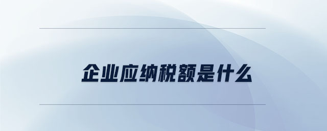 企業(yè)應(yīng)納稅額是什么