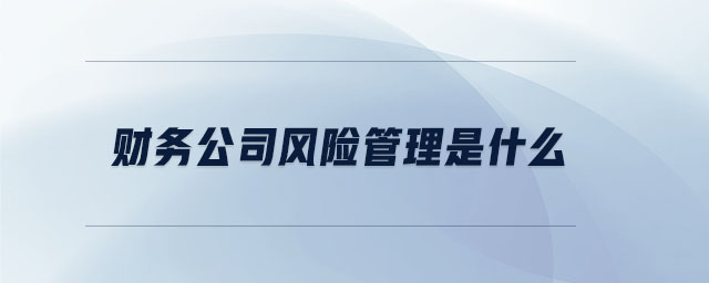 財務公司風險管理是什么