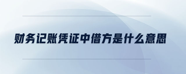 財(cái)務(wù)記賬憑證中借方是什么意思