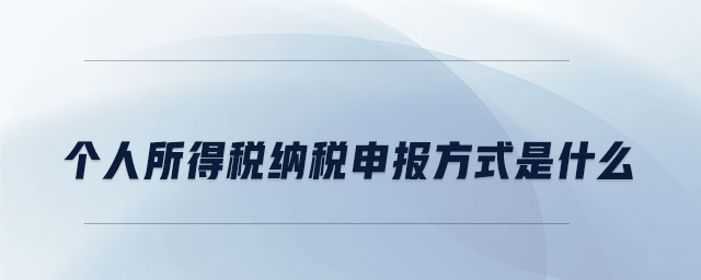 個人所得稅納稅申報方式是什么